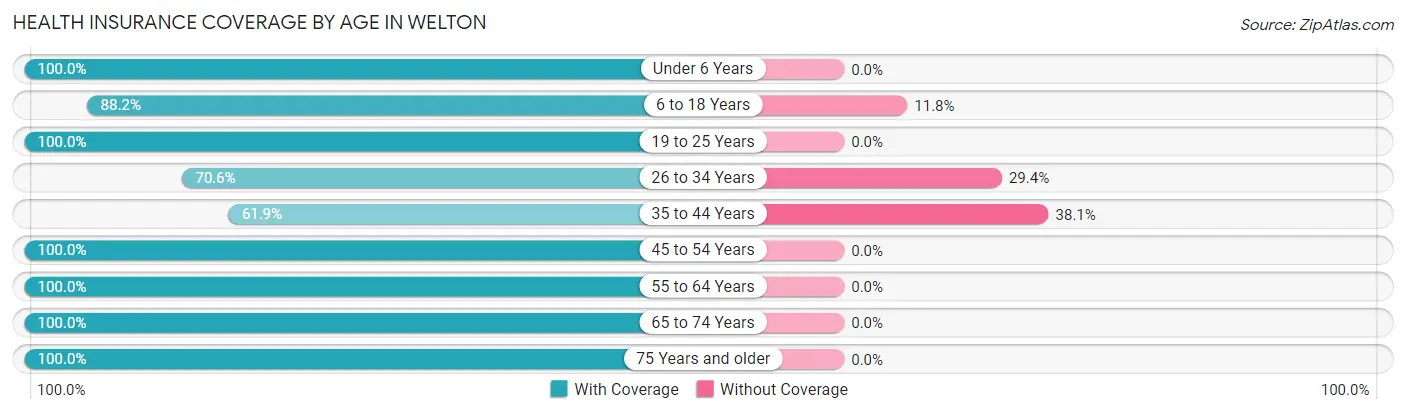 Health Insurance Coverage by Age in Welton