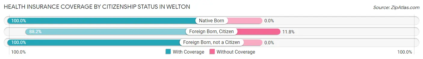 Health Insurance Coverage by Citizenship Status in Welton