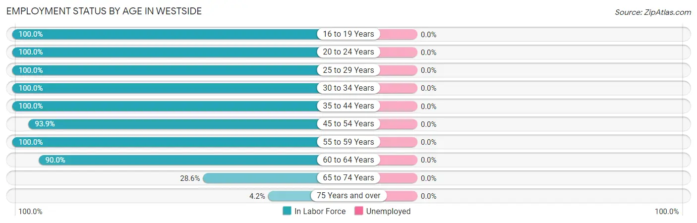 Employment Status by Age in Westside