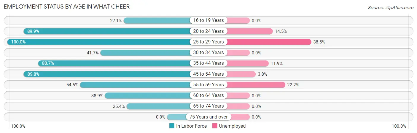 Employment Status by Age in What Cheer