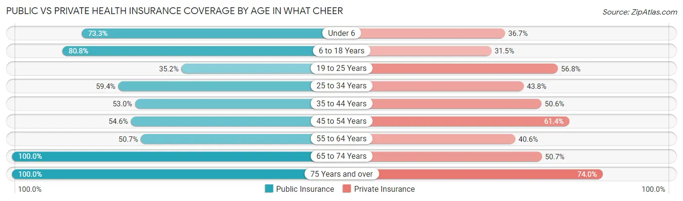 Public vs Private Health Insurance Coverage by Age in What Cheer