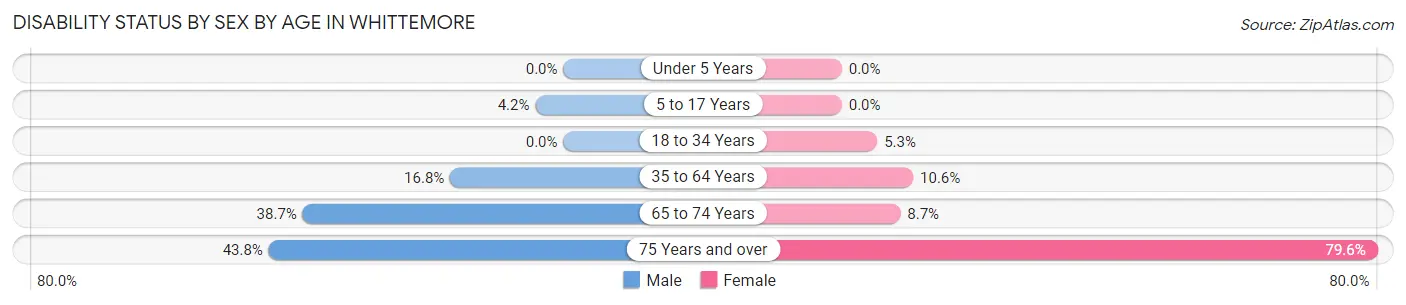 Disability Status by Sex by Age in Whittemore