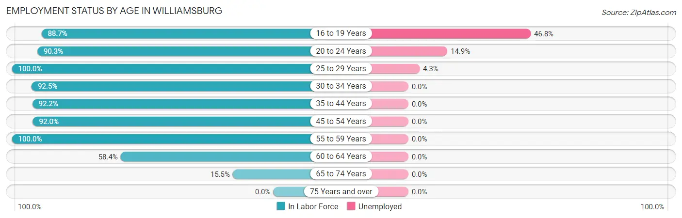 Employment Status by Age in Williamsburg