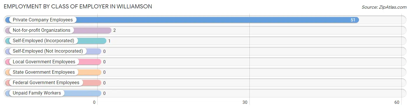 Employment by Class of Employer in Williamson