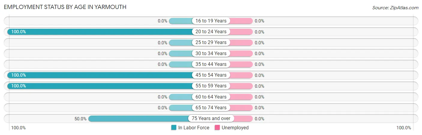 Employment Status by Age in Yarmouth