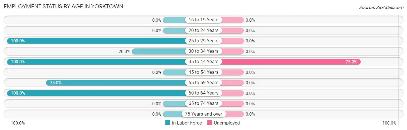 Employment Status by Age in Yorktown