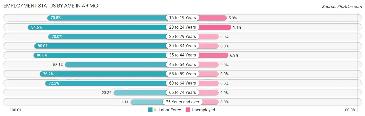 Employment Status by Age in Arimo