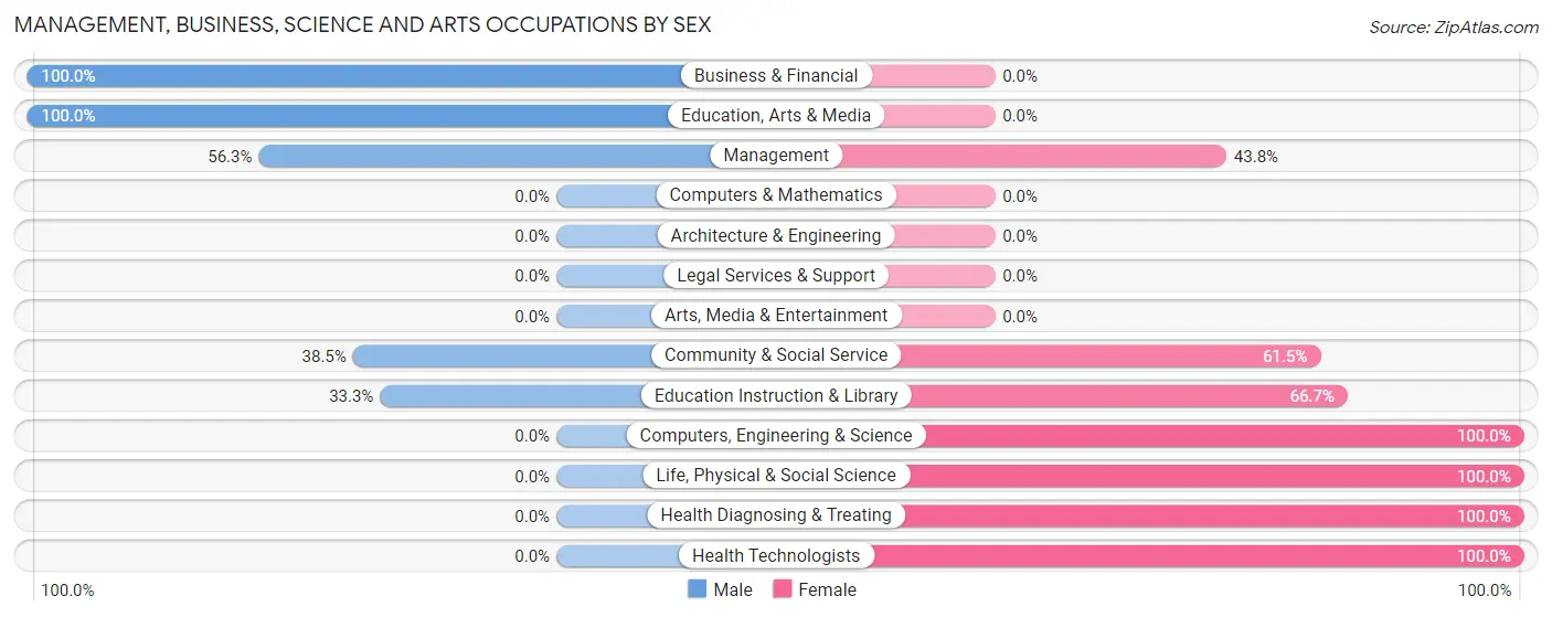 Management, Business, Science and Arts Occupations by Sex in Arimo