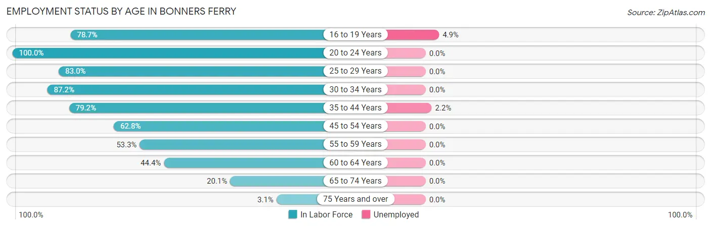 Employment Status by Age in Bonners Ferry