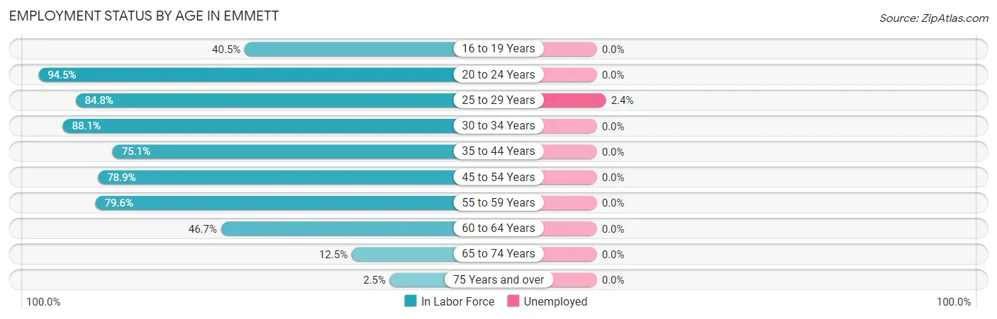 Employment Status by Age in Emmett