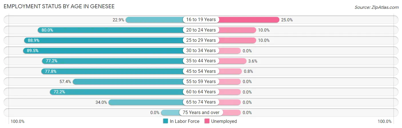 Employment Status by Age in Genesee
