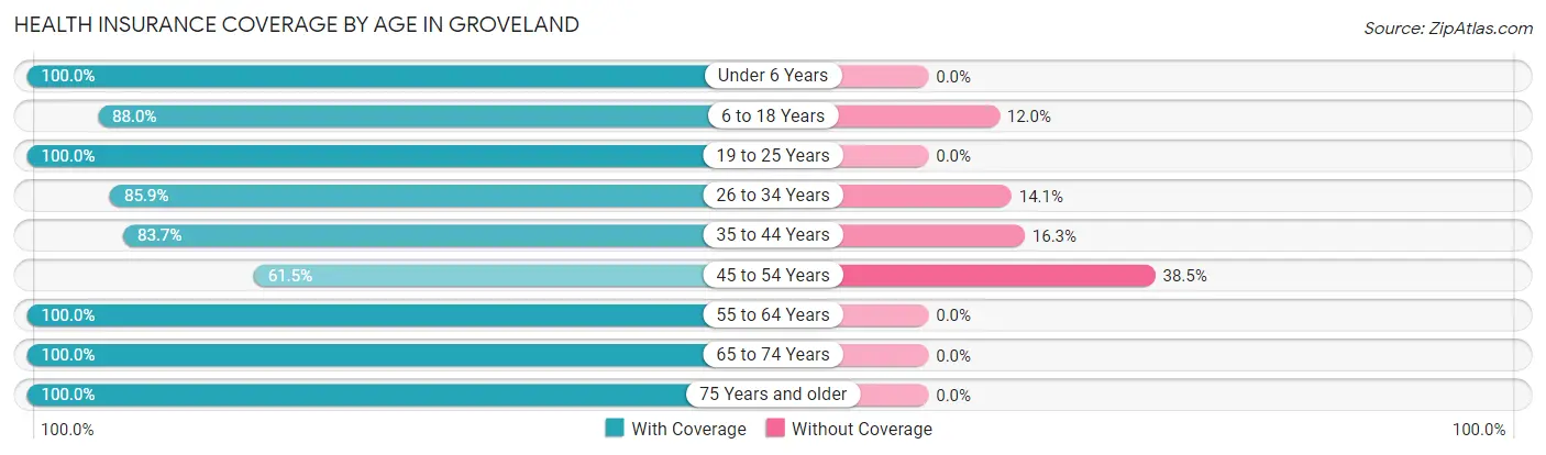 Health Insurance Coverage by Age in Groveland