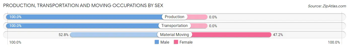 Production, Transportation and Moving Occupations by Sex in Hansen