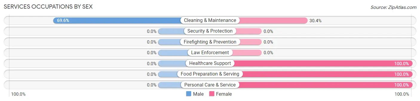 Services Occupations by Sex in Hansen