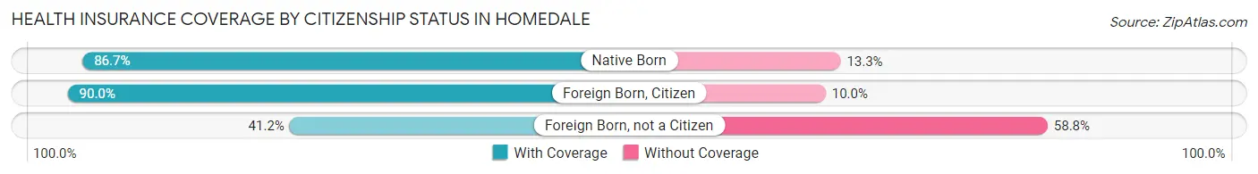 Health Insurance Coverage by Citizenship Status in Homedale