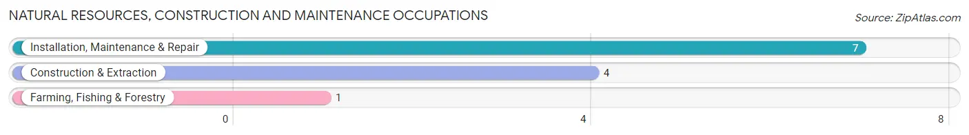 Natural Resources, Construction and Maintenance Occupations in Island Park