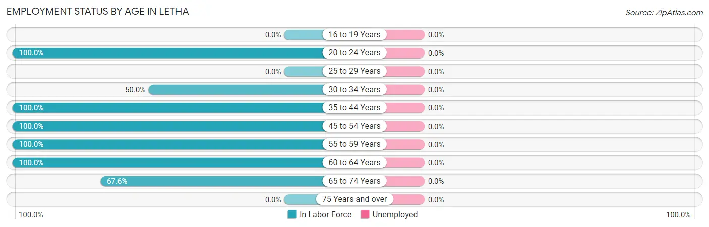 Employment Status by Age in Letha
