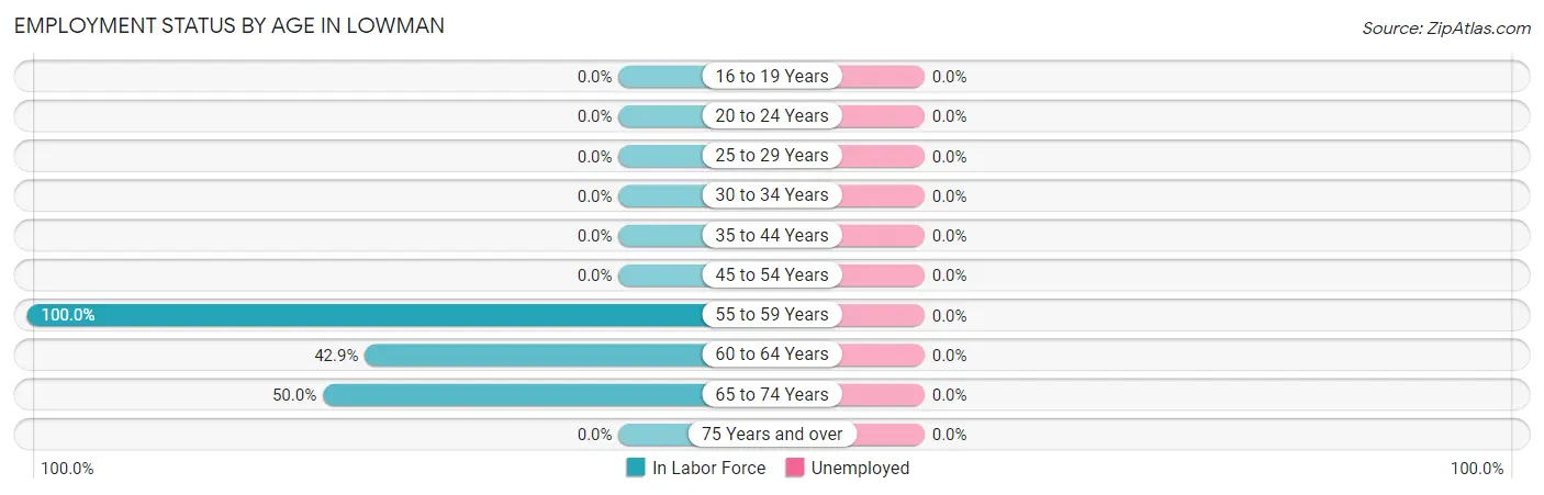 Employment Status by Age in Lowman