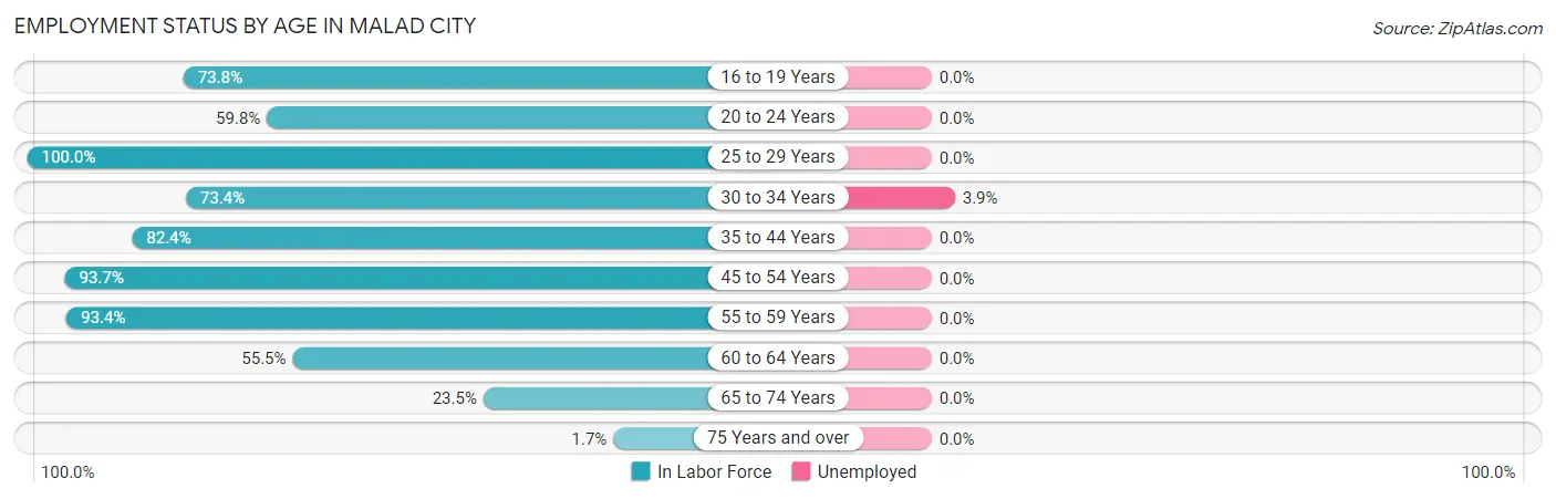 Employment Status by Age in Malad City