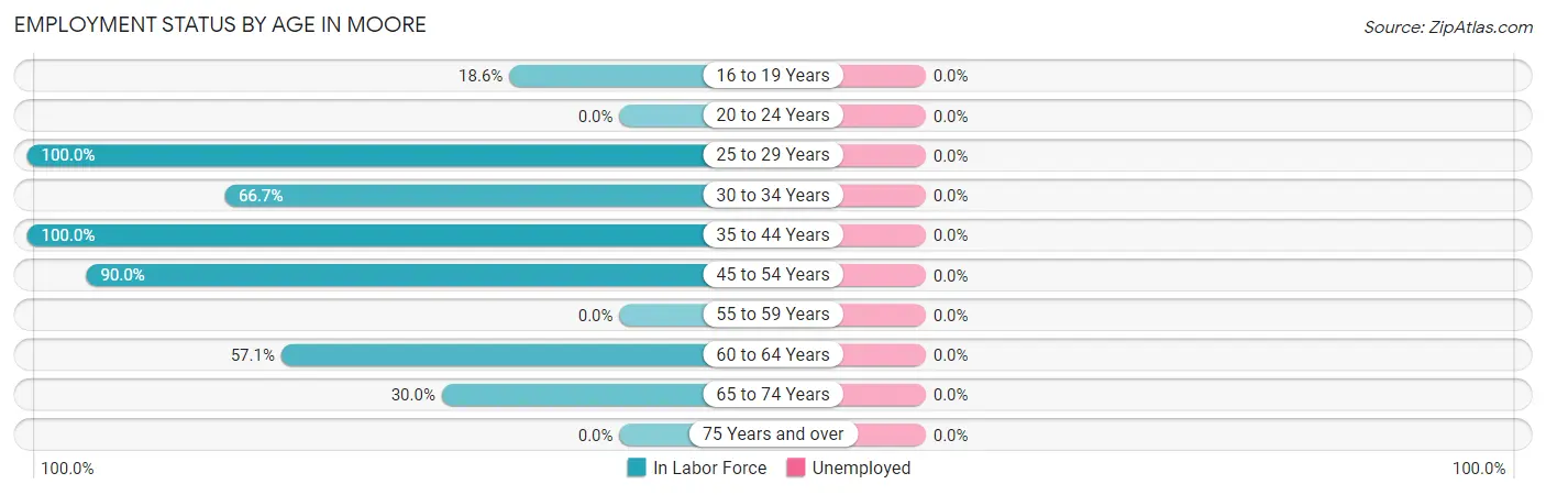 Employment Status by Age in Moore