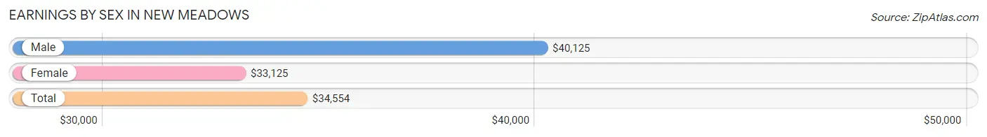 Earnings by Sex in New Meadows