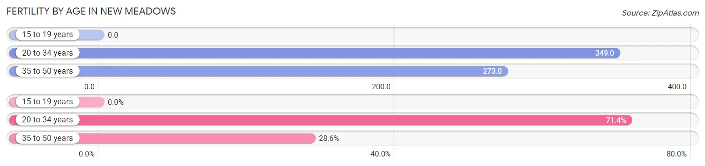 Female Fertility by Age in New Meadows