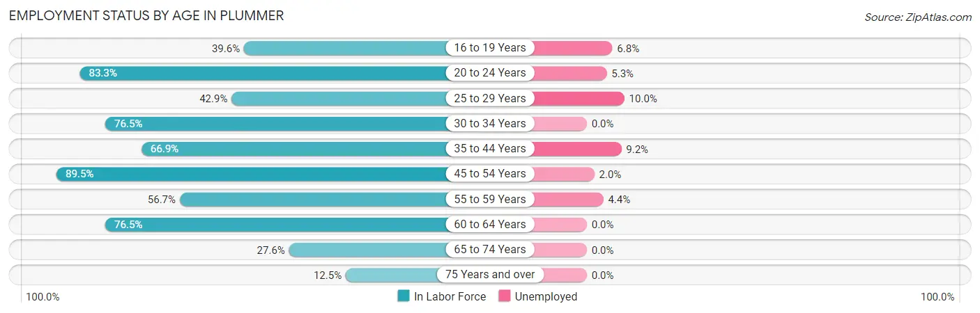 Employment Status by Age in Plummer