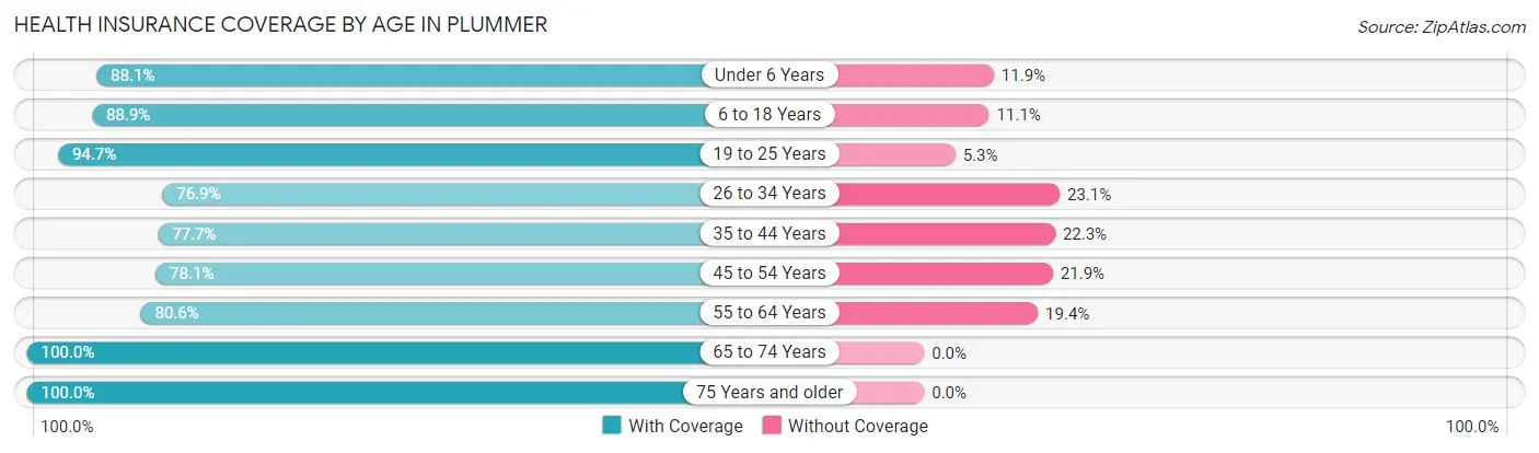 Health Insurance Coverage by Age in Plummer