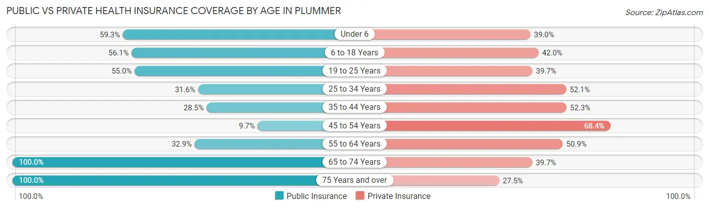 Public vs Private Health Insurance Coverage by Age in Plummer