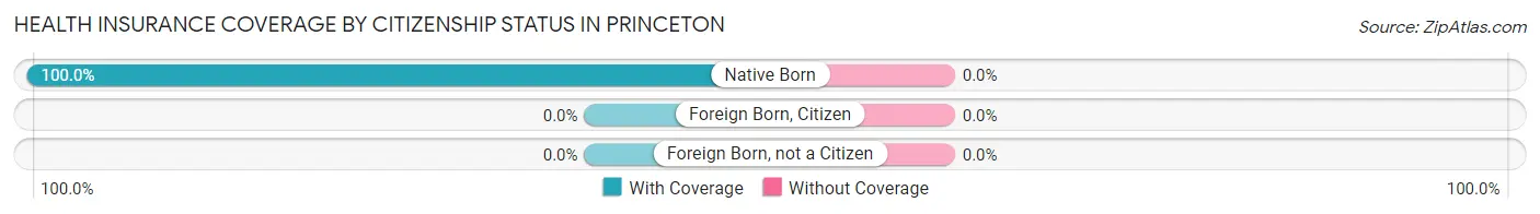 Health Insurance Coverage by Citizenship Status in Princeton