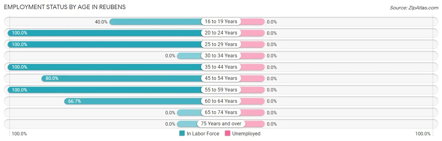 Employment Status by Age in Reubens
