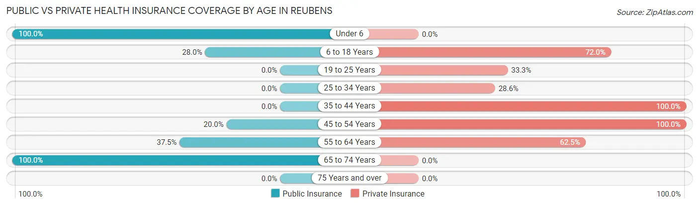Public vs Private Health Insurance Coverage by Age in Reubens