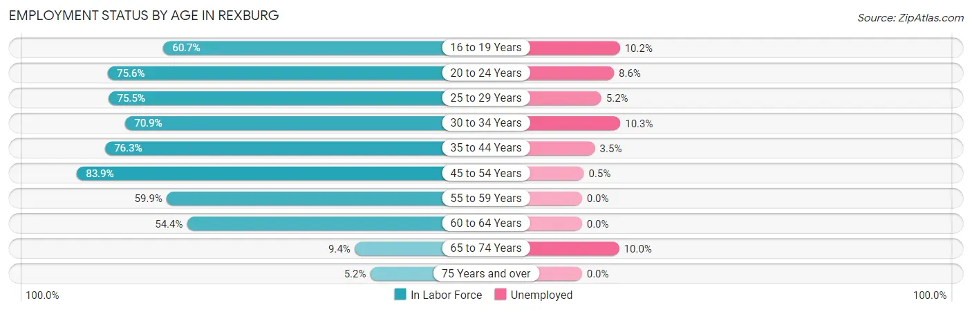 Employment Status by Age in Rexburg