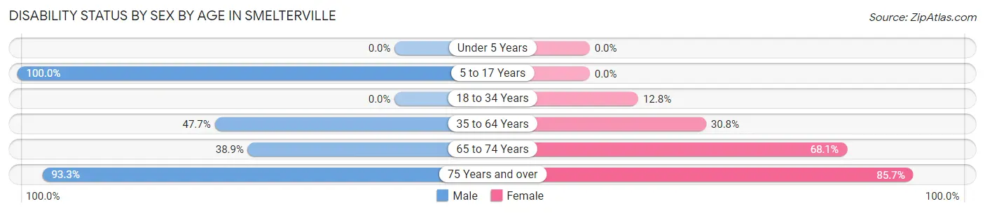Disability Status by Sex by Age in Smelterville