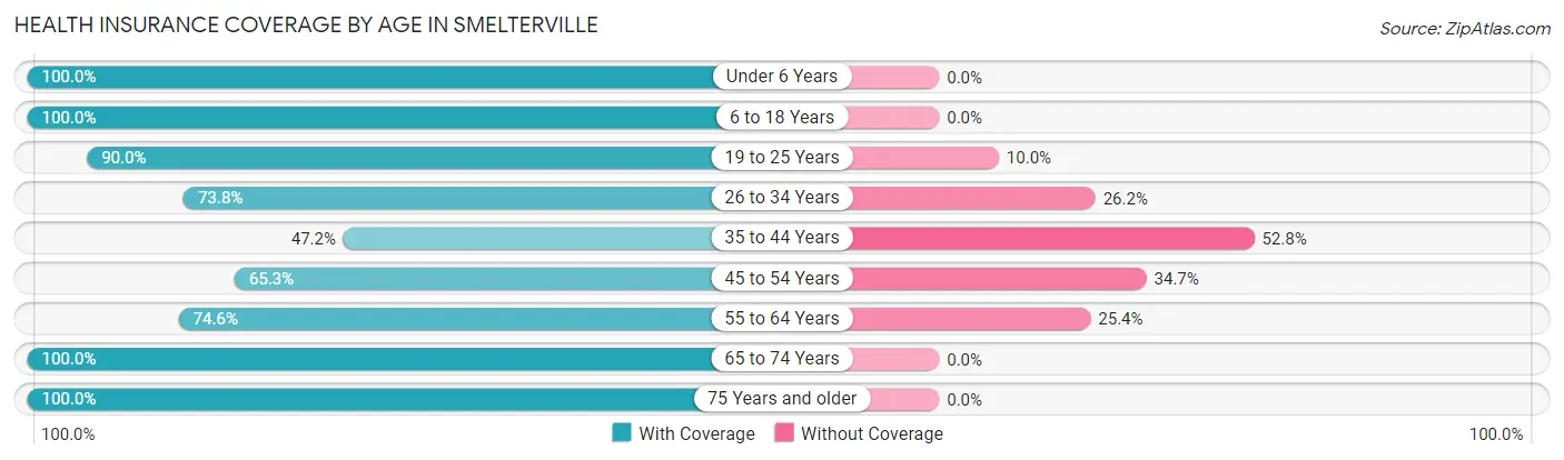 Health Insurance Coverage by Age in Smelterville