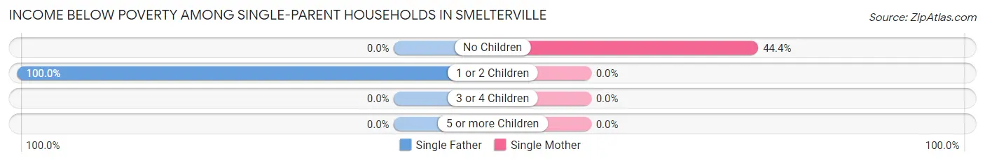 Income Below Poverty Among Single-Parent Households in Smelterville