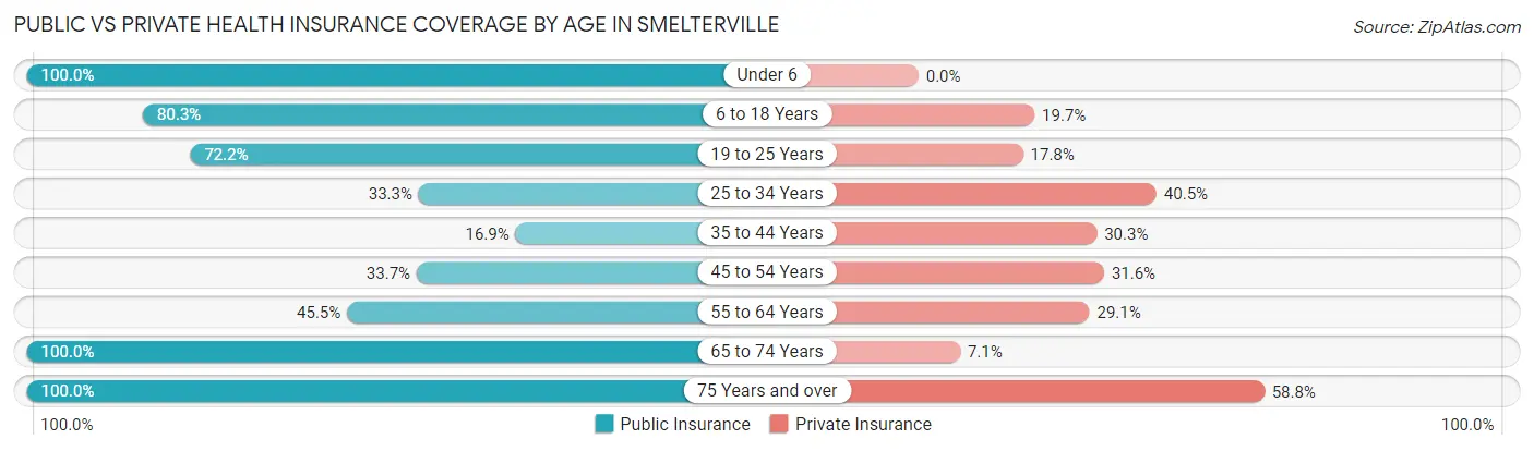 Public vs Private Health Insurance Coverage by Age in Smelterville