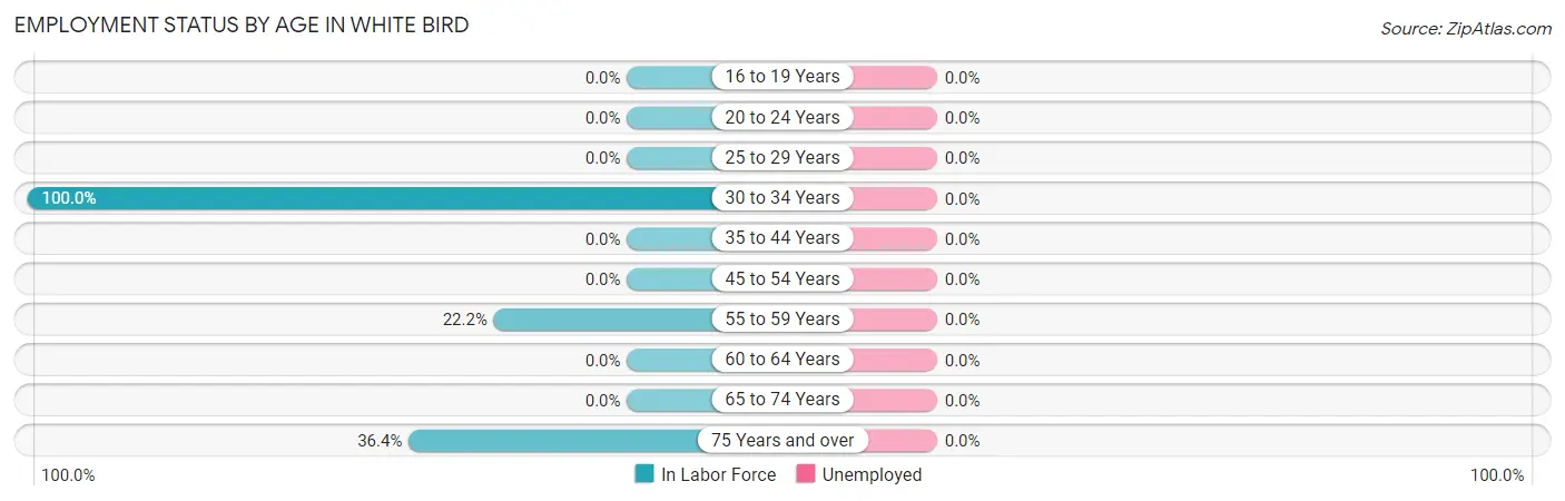 Employment Status by Age in White Bird