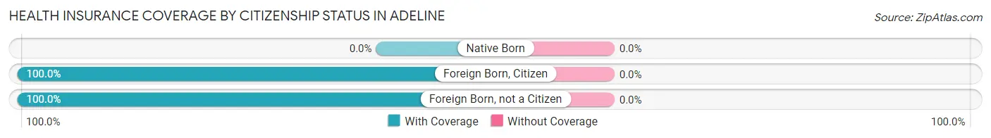 Health Insurance Coverage by Citizenship Status in Adeline
