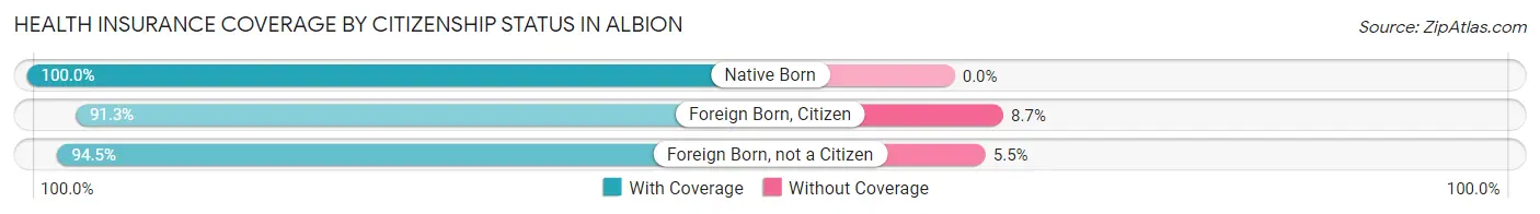 Health Insurance Coverage by Citizenship Status in Albion