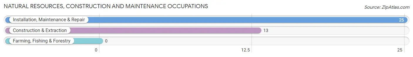 Natural Resources, Construction and Maintenance Occupations in Alexander