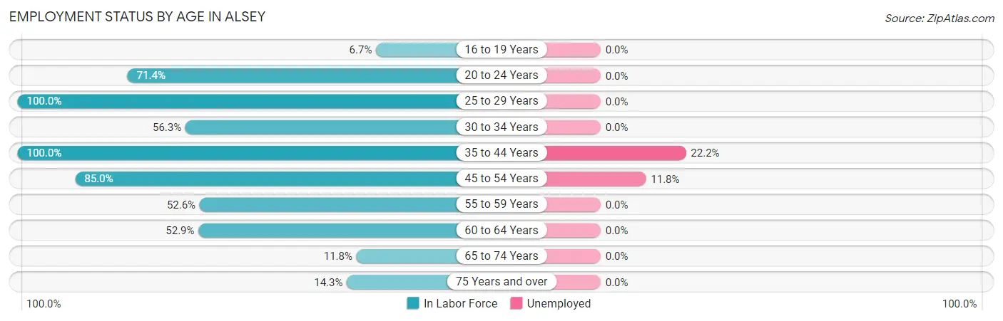 Employment Status by Age in Alsey