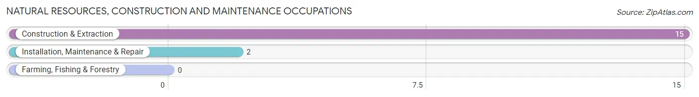 Natural Resources, Construction and Maintenance Occupations in Alvan