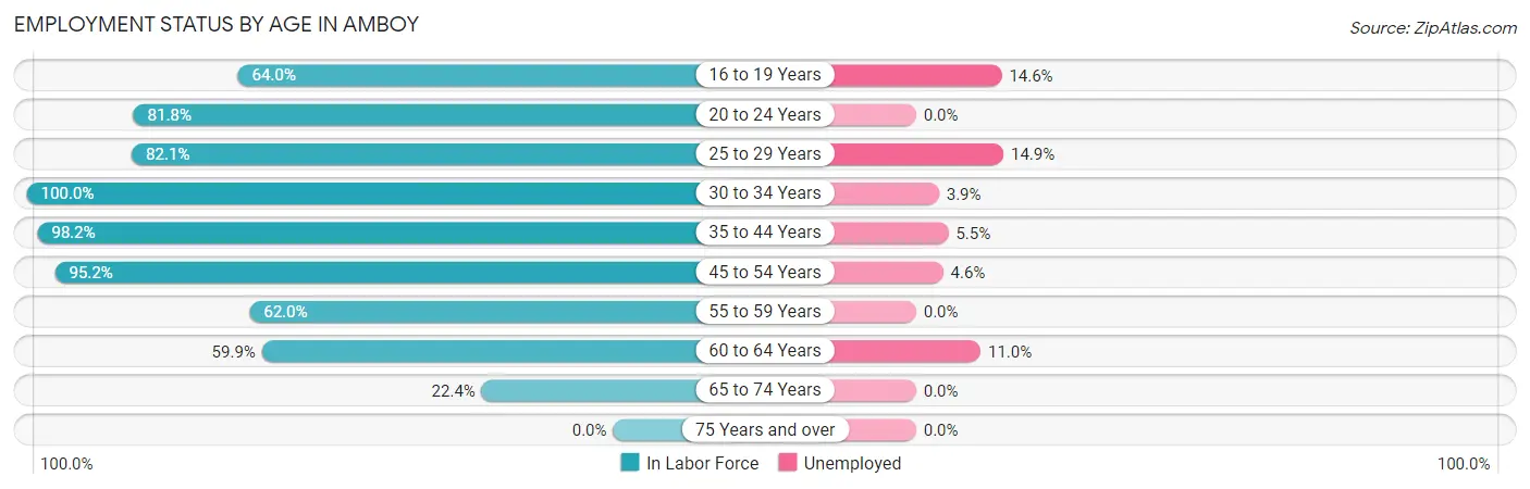 Employment Status by Age in Amboy