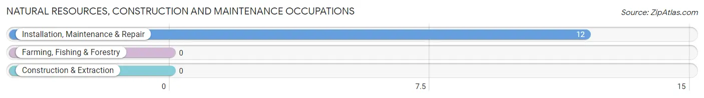 Natural Resources, Construction and Maintenance Occupations in Andres