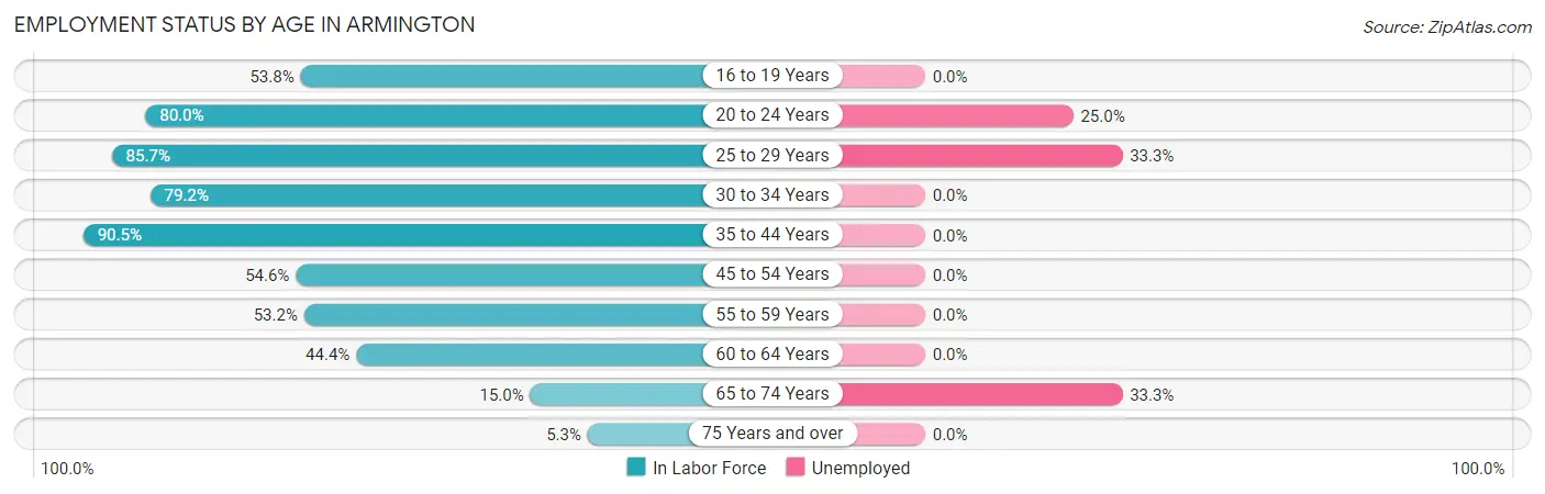 Employment Status by Age in Armington