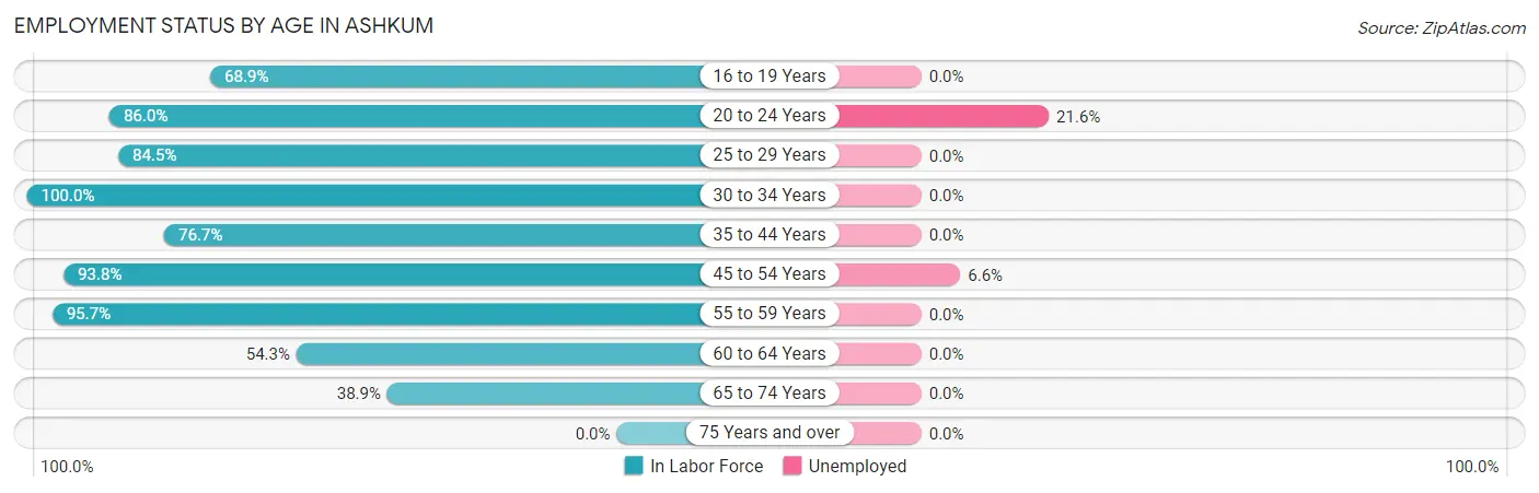 Employment Status by Age in Ashkum
