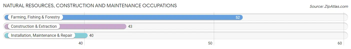 Natural Resources, Construction and Maintenance Occupations in Atlanta