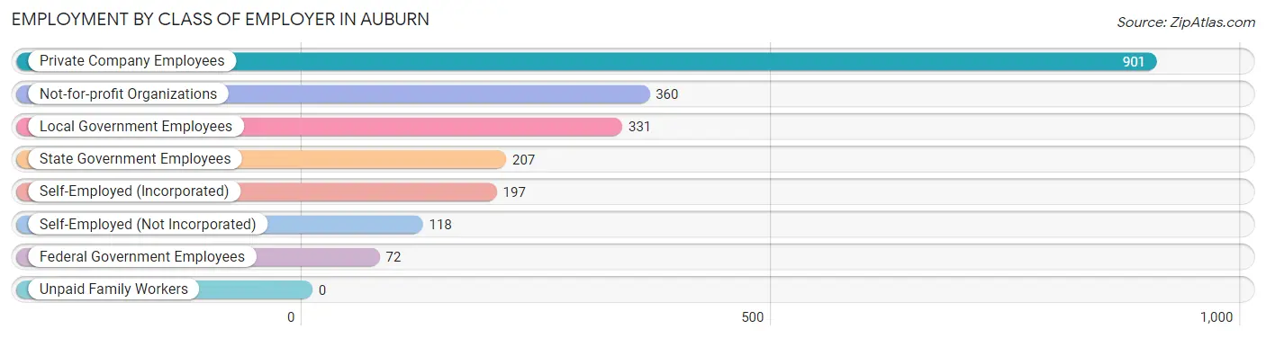 Employment by Class of Employer in Auburn