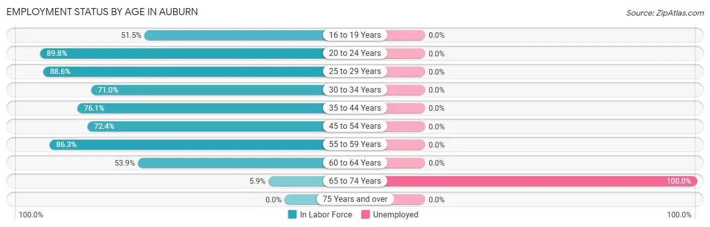 Employment Status by Age in Auburn